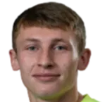 Dmitri Shadrintsev logo