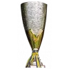 Bosnian-Herzegovinian cup winner logo