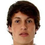 Fabian Schnellhardt logo