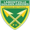 Golden Arrows Reserves logo