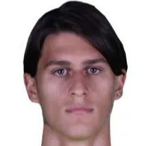 Dimitrije Stevanović logo