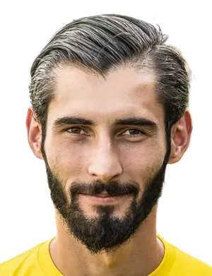 Delvin Skenderović logo