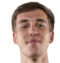 Dennis Silvanus Vos photo