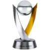 Georgian Supercup winner logo
