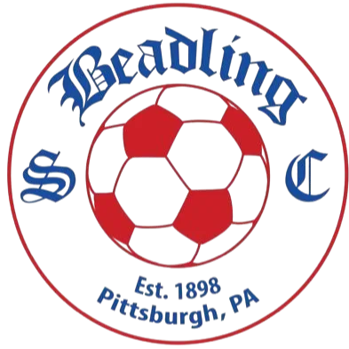 Beadling SC (W) logo