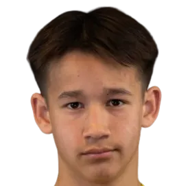 Daniel Johan Skaarud logo