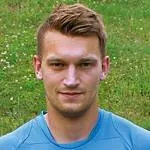 Niklas Hartmann logo