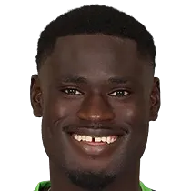 Cheikh Diamanka portrait