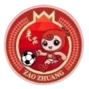 Zaozhuang logo