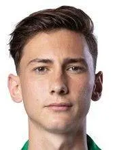 Dimitar·Mitrovski logo