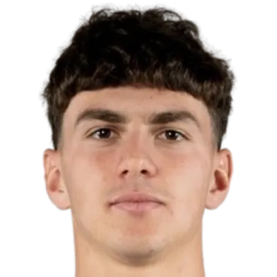 Lorenzo Anghele logo