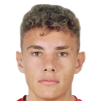 Stanislav Biblyk logo