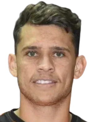 Fabio Teixeira da Silva logo