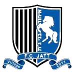 Hapoel Ihud Bnei Jatt logo