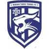 Wuhan Three Towns 05 logo