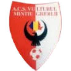 ACS Vulturul 2020 Mintiu Gherlii logo