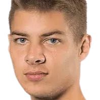 dmytro pogorilyi logo