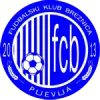 FC Breznica W logo