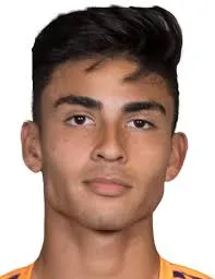 Walter portales logo