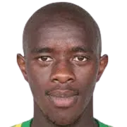 Kwandakwensizwa Ishmael Mngonyama photo