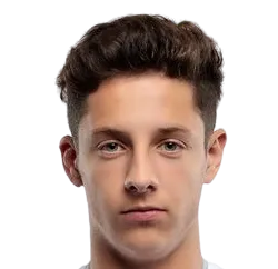 Domagoj Bradaric logo