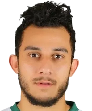 Ahmed Ayman Mansour logo