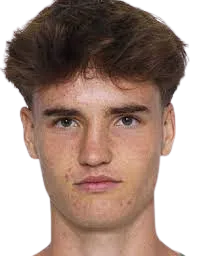 Nikolas Sattlberger logo