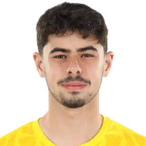 Matei Andrei Goga photo 