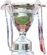 South Korean League Cup Winner logo