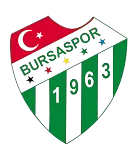 Bursaspor U18 logo