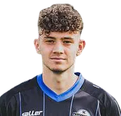 Dominik Bilogrevic logo