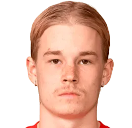 niilo pirttinen logo