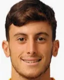 Samuele Birindelli logo