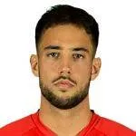 Aris Nikolaos Halling Vaporakis logo