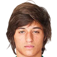 Rui Pedro da Silva e Sousa logo