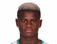 Mikayil Ngor Faye logo