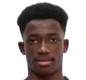 Fabrice-Alan Do Marcolino logo