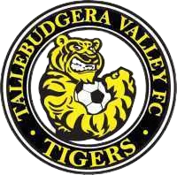 Tally Valley Metro logo