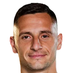Nemanja Miletić logo