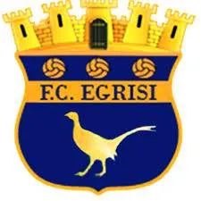 Egrisi Senaki logo
