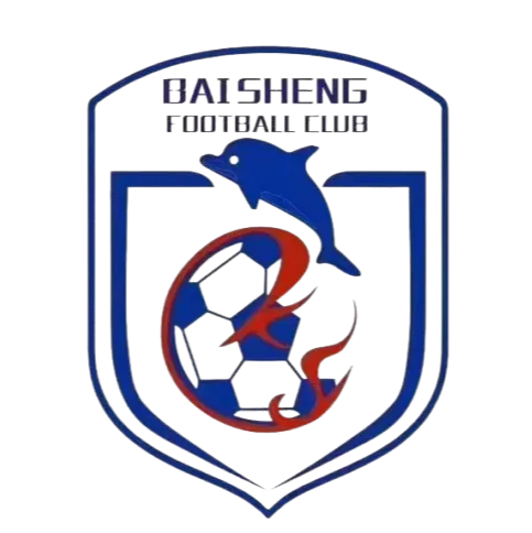 Wuhu Baisheng logo
