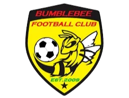 New bumblebee logo