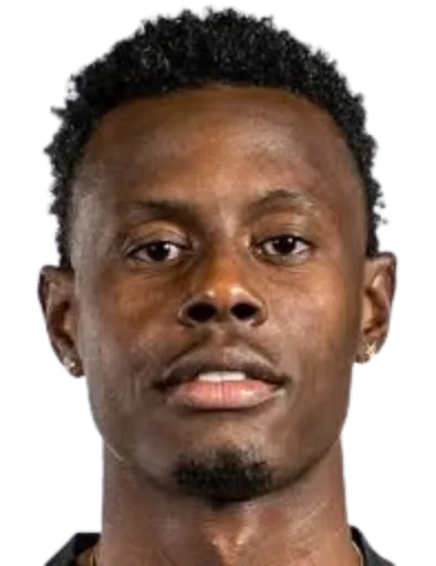 Chavany·Willis logo