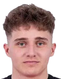 Nikolay Ryabykh logo