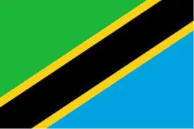 Tanzania U17 logo