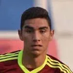 Williams Velásquez logo