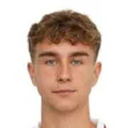 Dominik sarapata logo