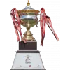Nepal Super League Winner logo