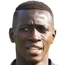 Lamine Tall Junior logo