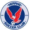 Nerang logo